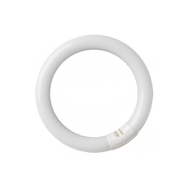 TUBO FLUORESCENTE CIRCULAR GSC