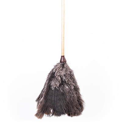 PLUMERO AVESTRUZ M/MADERA LARGO