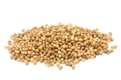 CILANTRO GRANO KG