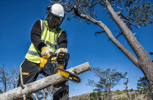 MOTOSIERRA XR 18V / Largo de espada 30CM, 1bat 5Ah + Cargador , DCM565P1-QW, DeWALT