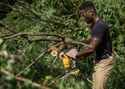SIERRA DE PODA BL XR 18V CARGADOR+1BAT5Ahm, DCMPS520P1-QW, DeWALT