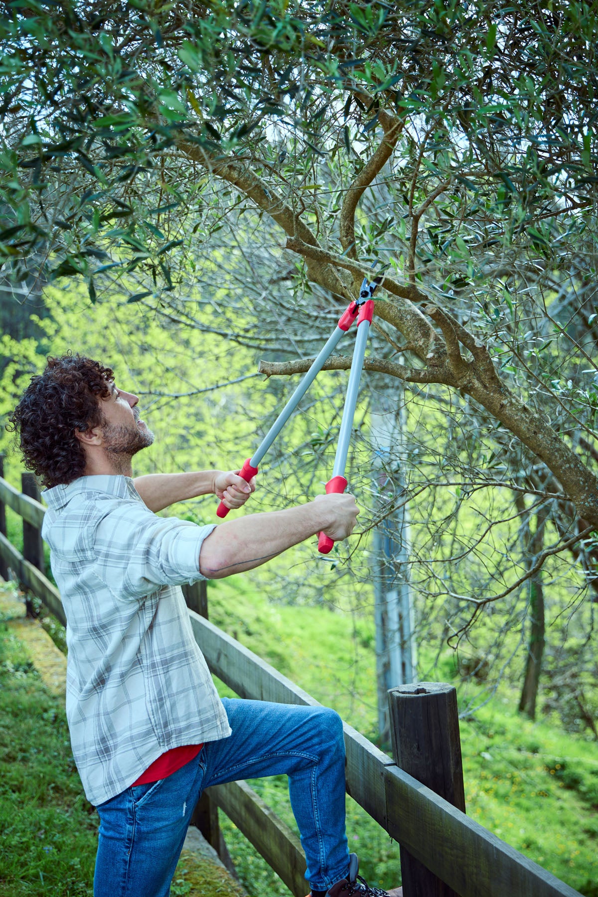 Uso de la tijera de dos manos Bellota 345075 para podar ramas de un árbol