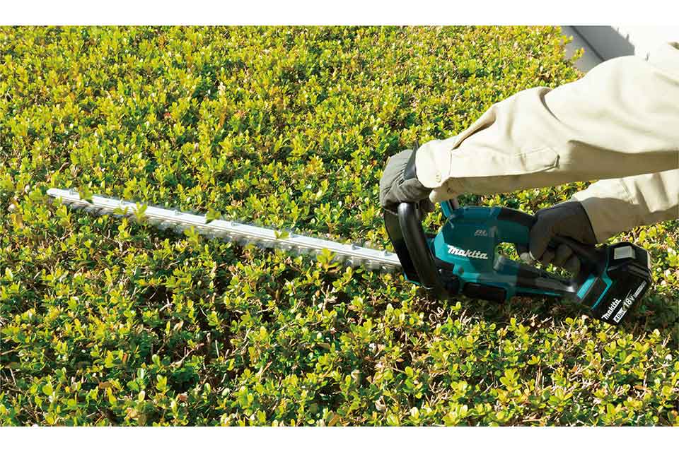 Cortasetos Makita DUH606 en uso en un seto, vista 2