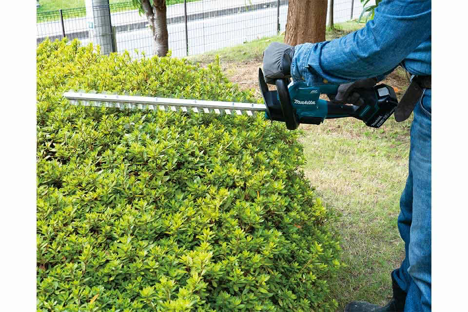 Cortasetos Makita DUH606 en uso en un seto, vista 3