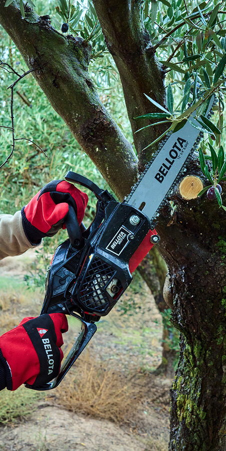 Motosierra Bellota MS2P2500E durante la poda de un olivo